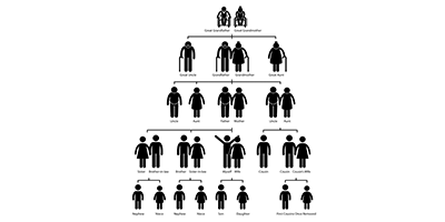 family tree